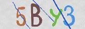 código CAPTCHA*