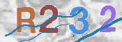 código CAPTCHA*