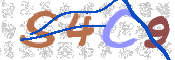 código CAPTCHA*