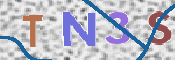código CAPTCHA*
